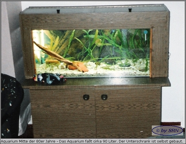 Aquarium