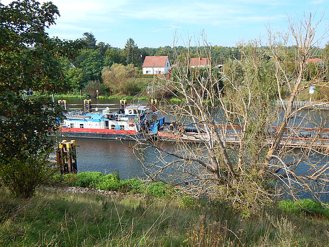 Schiff